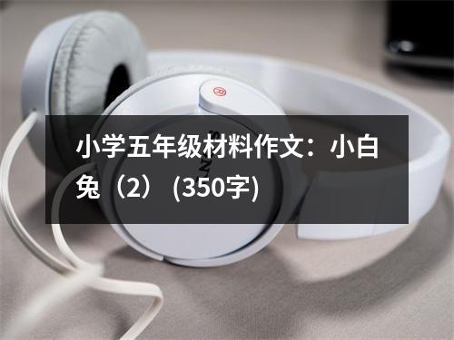 小學(xué)五年級(jí)材料作文：小白兔（2） (350字)