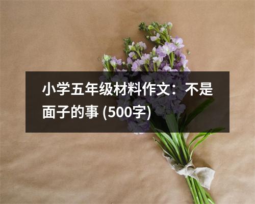 小學(xué)五年級(jí)材料作文：不是面子的事 (500字)