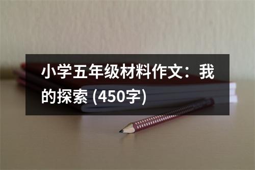 小學(xué)五年級(jí)材料作文：我的探索 (450字)