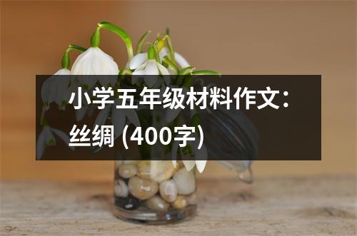 小學(xué)五年級(jí)材料作文：絲綢 (400字)
