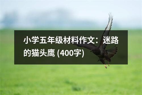 小學(xué)五年級(jí)材料作文：迷路的貓頭鷹 (400字)