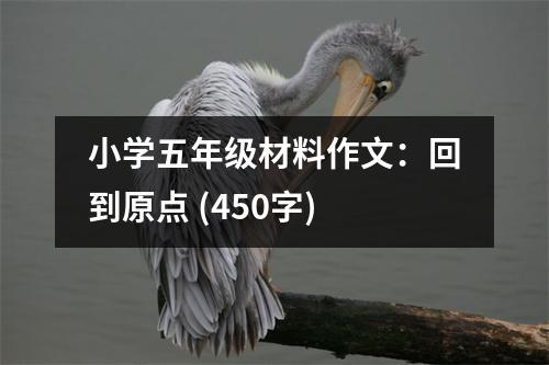 小學(xué)五年級(jí)材料作文：回到原點(diǎn) (450字)