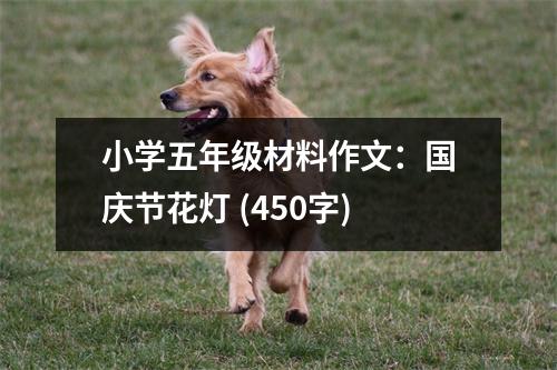小學(xué)五年級(jí)材料作文：國慶節(jié)花燈 (450字)