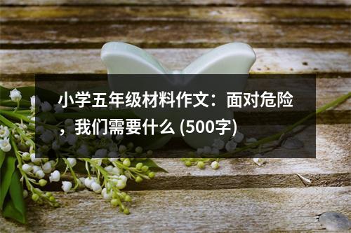 小學(xué)五年級(jí)材料作文：面對(duì)危險(xiǎn)，我們需要什么 (500字)