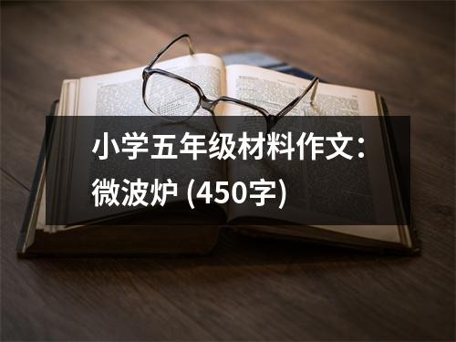 小學(xué)五年級(jí)材料作文：微波爐 (450字)