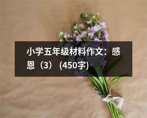 小學(xué)五年級(jí)材料作文：感恩（3） (450字)