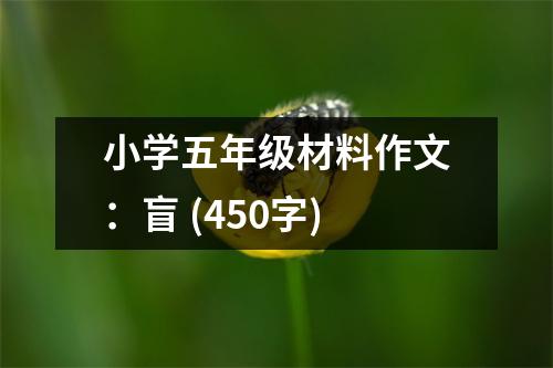 小學(xué)五年級(jí)材料作文：盲 (450字)