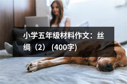 小學(xué)五年級材料作文：絲綢（2） (400字)