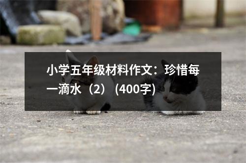 小學(xué)五年級材料作文：珍惜每一滴水（2） (400字)