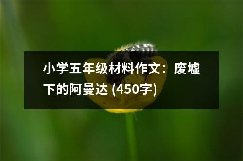 小學(xué)五年級材料作文：廢墟下的阿曼達(dá) (450字)