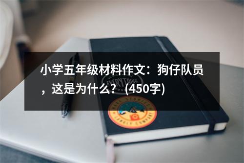 小學(xué)五年級材料作文：狗仔隊員，這是為什么？ (450字)