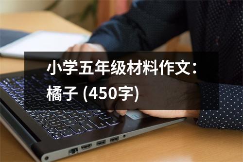 小學五年級材料作文：橘子 (450字)