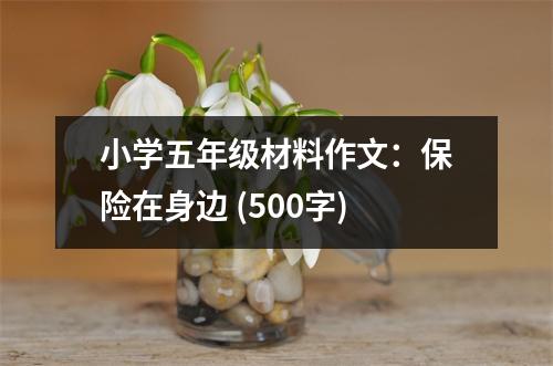 小學五年級材料作文：保險在身邊 (500字)