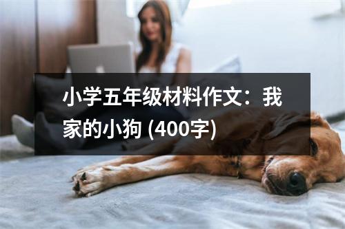 小學(xué)五年級材料作文：我家的小狗 (400字)