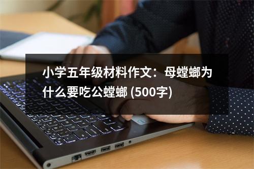 小學(xué)五年級材料作文：母螳螂為什么要吃公螳螂 (500字)