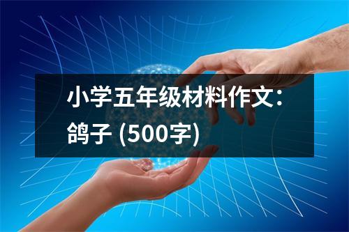 小學(xué)五年級材料作文：鴿子 (500字)