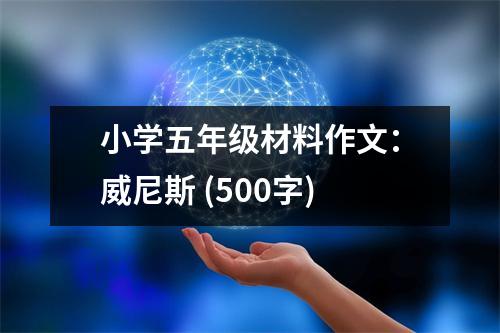 小學五年級材料作文：威尼斯 (500字)