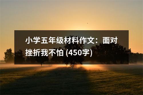 小學五年級材料作文：面對挫折我不怕 (450字)