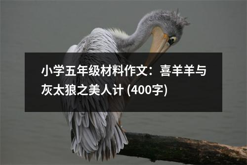 小學五年級材料作文：喜羊羊與灰太狼之美人計 (400字)