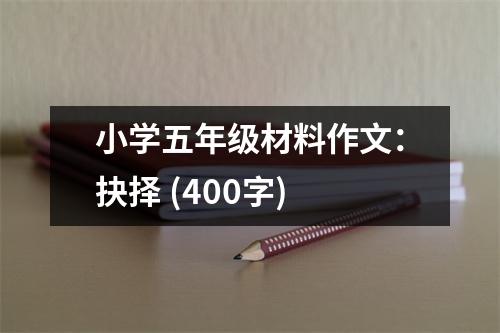 小學(xué)五年級(jí)材料作文：抉擇 (400字)