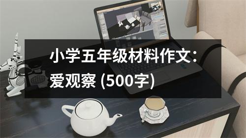 小學(xué)五年級(jí)材料作文：愛觀察 (500字)