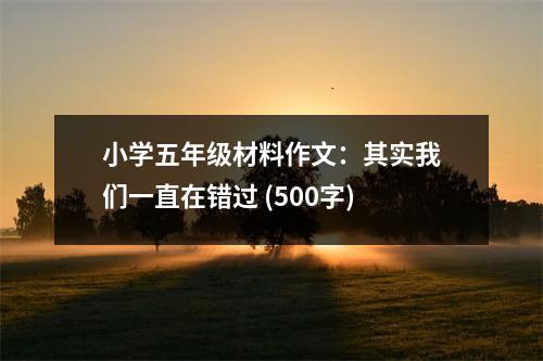 小學(xué)五年級材料作文：其實我們一直在錯過 (500字)