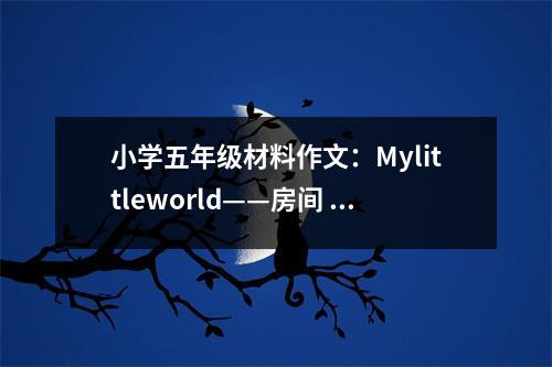 小學(xué)五年級材料作文：Mylittleworld——房間 (400字)