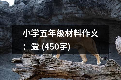 小學(xué)五年級材料作文：愛 (450字)