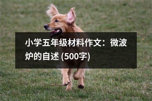 小學(xué)五年級材料作文：微波爐的自述 (500字)