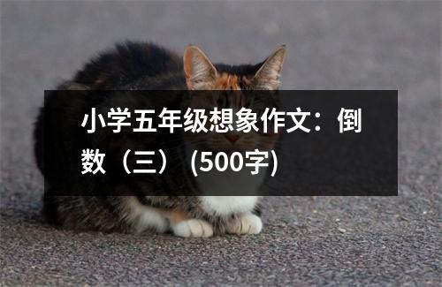 小學(xué)五年級(jí)想象作文：倒數(shù)（三） (500字)