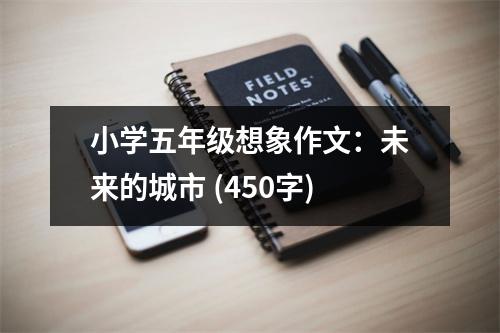 小學五年級想象作文：未來的城市 (450字)
