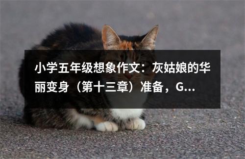 小學(xué)五年級想象作文：灰姑娘的華麗變身（第十三章）準(zhǔn)備，Go！ (550字)