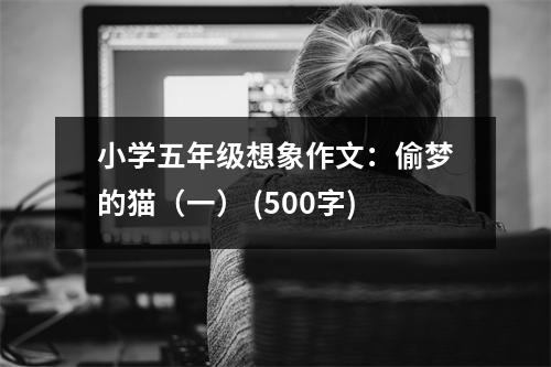小學(xué)五年級想象作文：偷夢的貓（一） (500字)