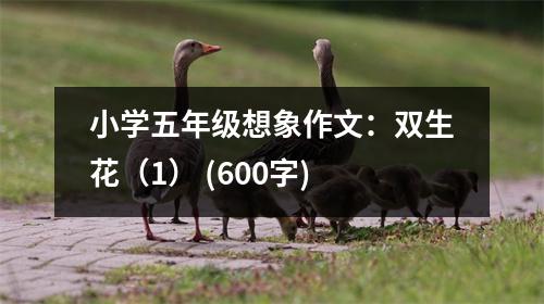 小學五年級想象作文：雙生花（1） (600字)