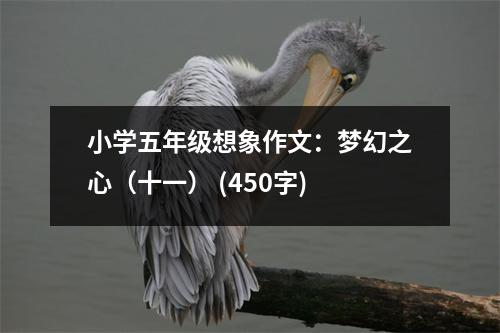 小學(xué)五年級想象作文：夢幻之心（十一） (450字)