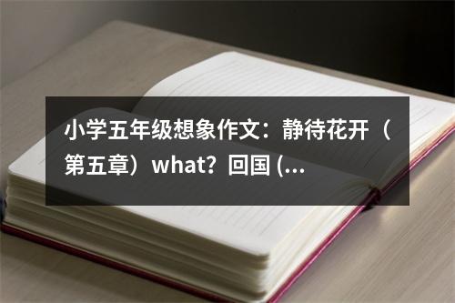 小學(xué)五年級(jí)想象作文：靜待花開(kāi)（第五章）what？回國(guó) (500字)