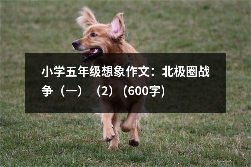 小學(xué)五年級(jí)想象作文：北極圈戰(zhàn)爭(zhēng)（一）（2） (600字)