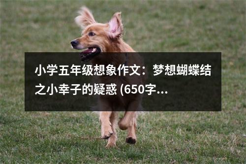 小學(xué)五年級想象作文：夢想蝴蝶結(jié)之小幸子的疑惑 (650字)