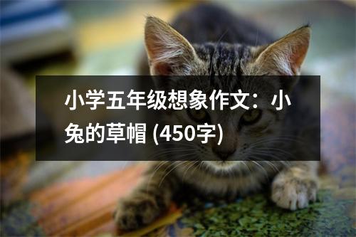 小學(xué)五年級(jí)想象作文：小兔的草帽 (450字)