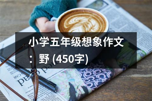 小學(xué)五年級(jí)想象作文：野 (450字)