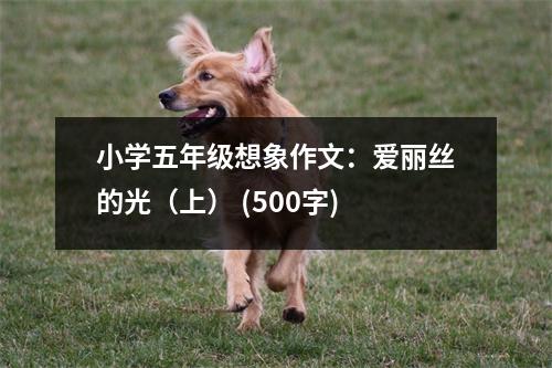 小學五年級想象作文：愛麗絲的光（上） (500字)