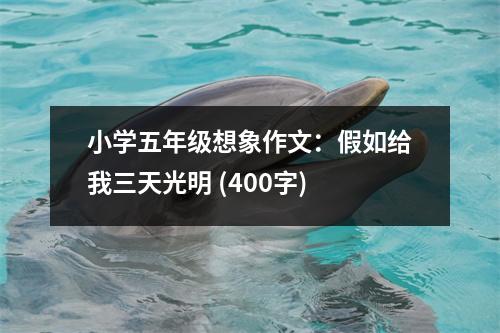 小學(xué)五年級(jí)想象作文：假如給我三天光明 (400字)