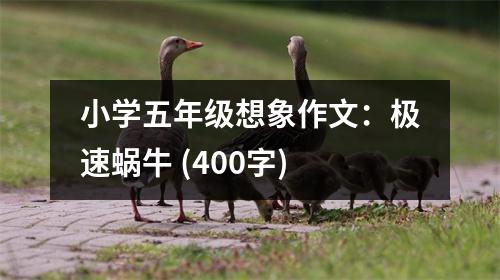 小學(xué)五年級(jí)想象作文：極速蝸牛 (400字)