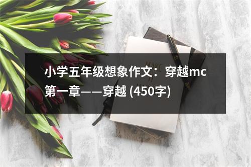 小學(xué)五年級想象作文：穿越mc第一章——穿越 (450字)
