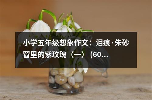 小學(xué)五年級(jí)想象作文：淚痕·朱砂窗里的紫玫瑰（一） (600字)