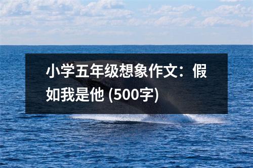 小學(xué)五年級(jí)想象作文：假如我是他 (500字)