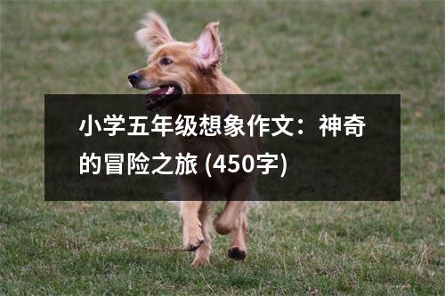 小學五年級想象作文：神奇的冒險之旅 (450字)