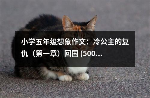 小學五年級想象作文：冷公主的復仇（第一章）回國 (500字)