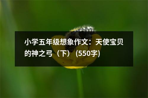 小學(xué)五年級(jí)想象作文：天使寶貝的神之弓（下） (550字)