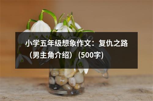 小學(xué)五年級想象作文：復(fù)仇之路（男主角介紹） (500字)